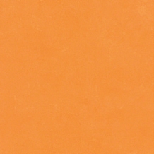 Astur Naranja